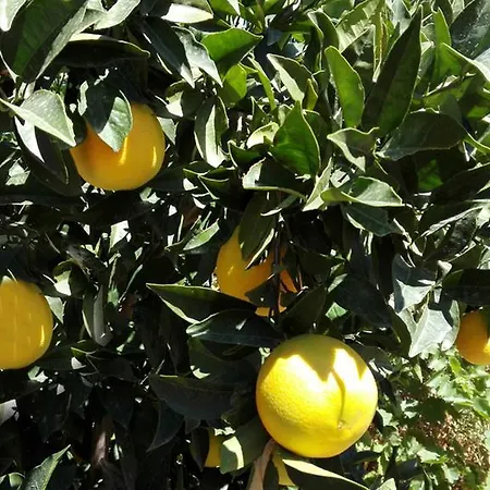 וילה Rodos Paradise Koskinou (Rhodes)