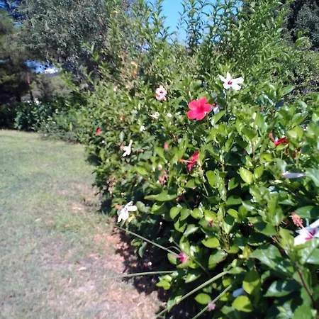 וילה Rodos Paradise Koskinou (Rhodes)
